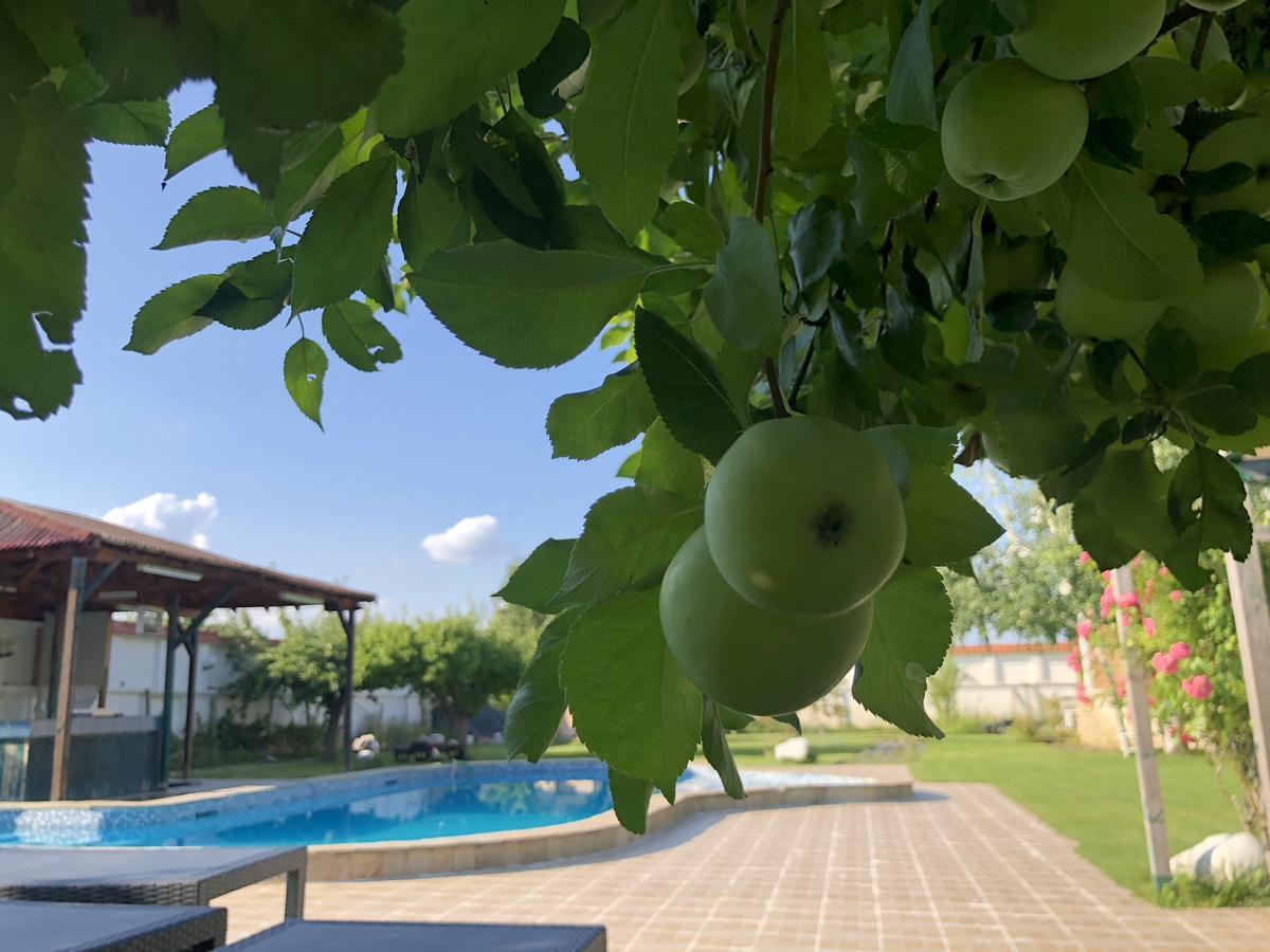 Galeria In The Garden Hotel Plovdiv Ngoại thất bức ảnh