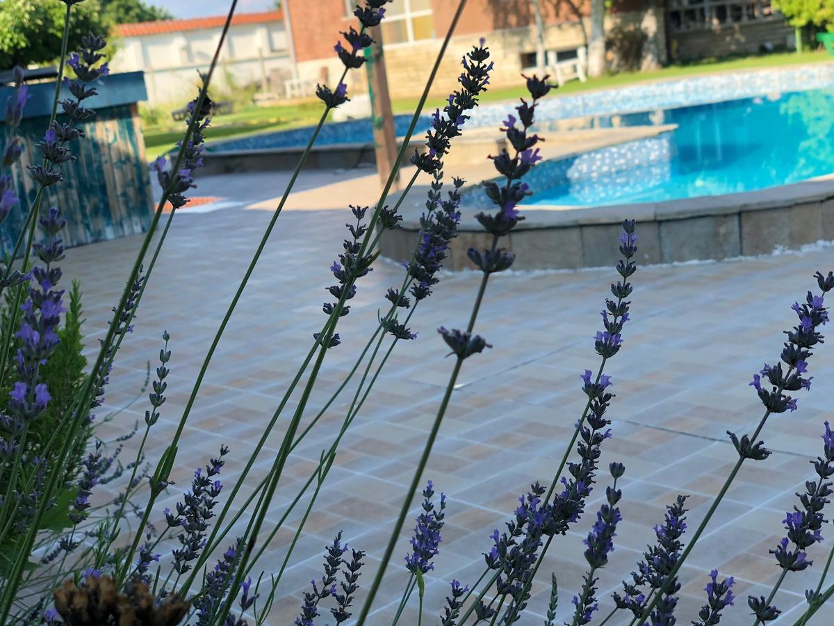 Galeria In The Garden Hotel Plovdiv Ngoại thất bức ảnh